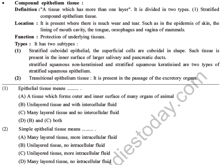 NEET Biology Animal Tissues MCQs Set A, Multiple Choice Questions